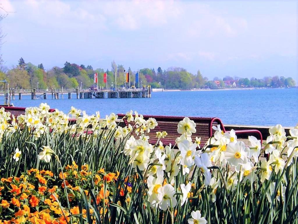 Bodensee Apartment Kressbronn "Seeland" Крессбронн-ам-Бодензе Екстер'єр фото